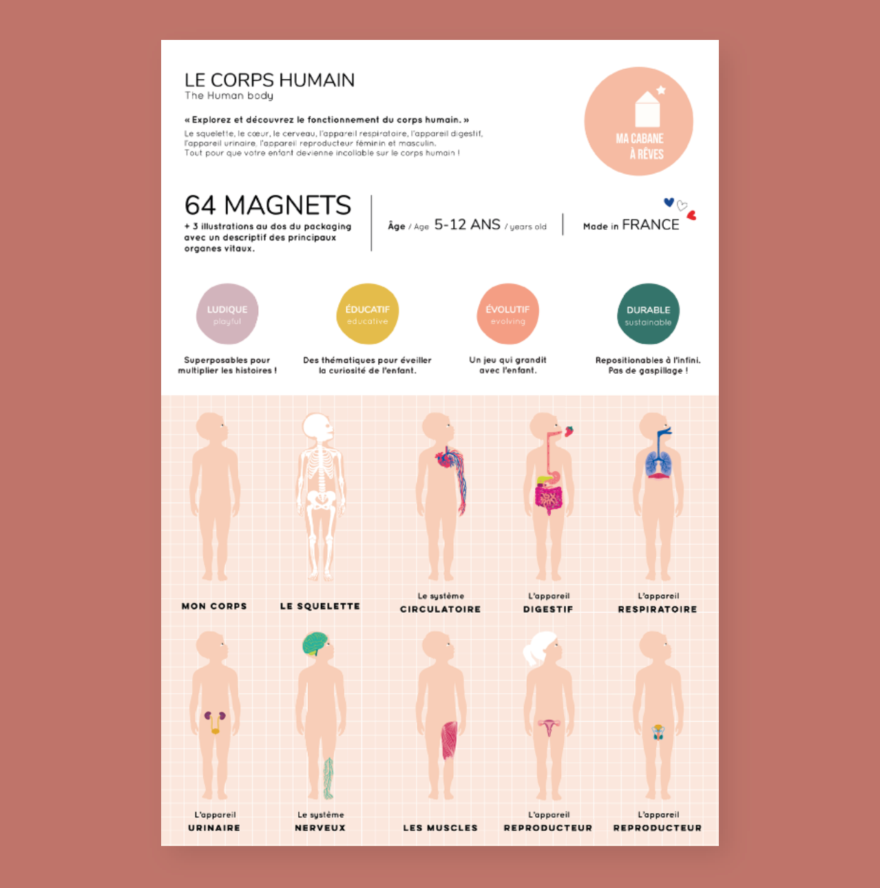 Jeu magnétique Anatomie