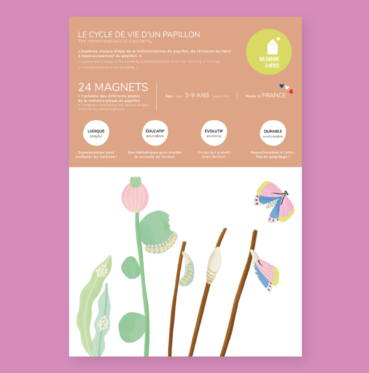 Jeu magnétique Le Cycle du Papillon