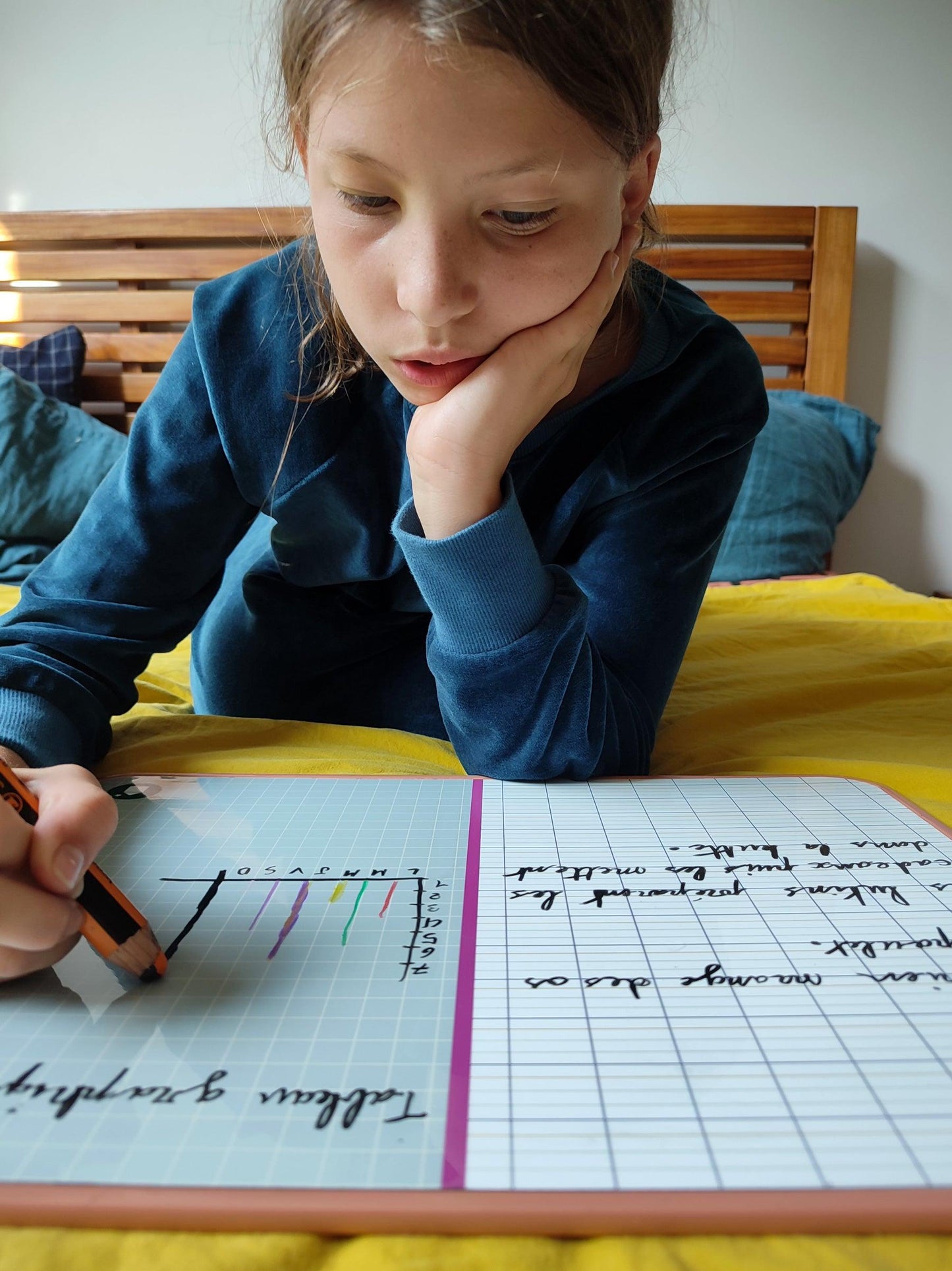 Lignes Seyes et Carreaux _ Ardoise souple magnétique - Ma Cabane à Rêves