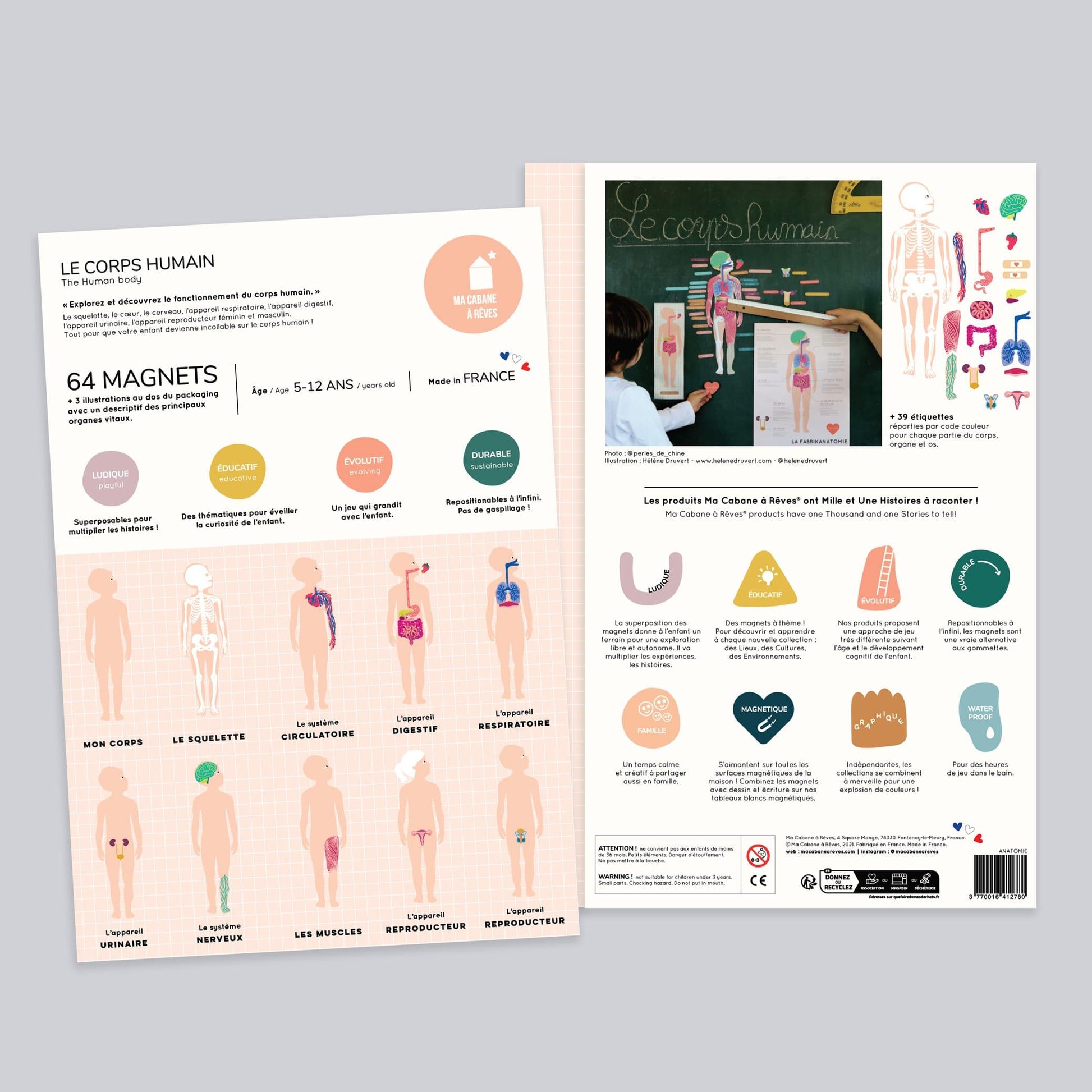 jeu magnétique Anatomie - Ma Cabane à Rêves