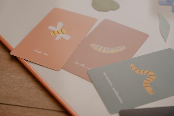 cartes imagier insectes à découper
