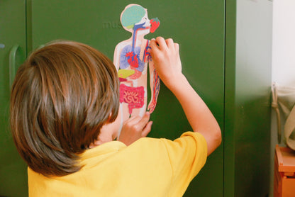 Jeu magnétique Anatomie