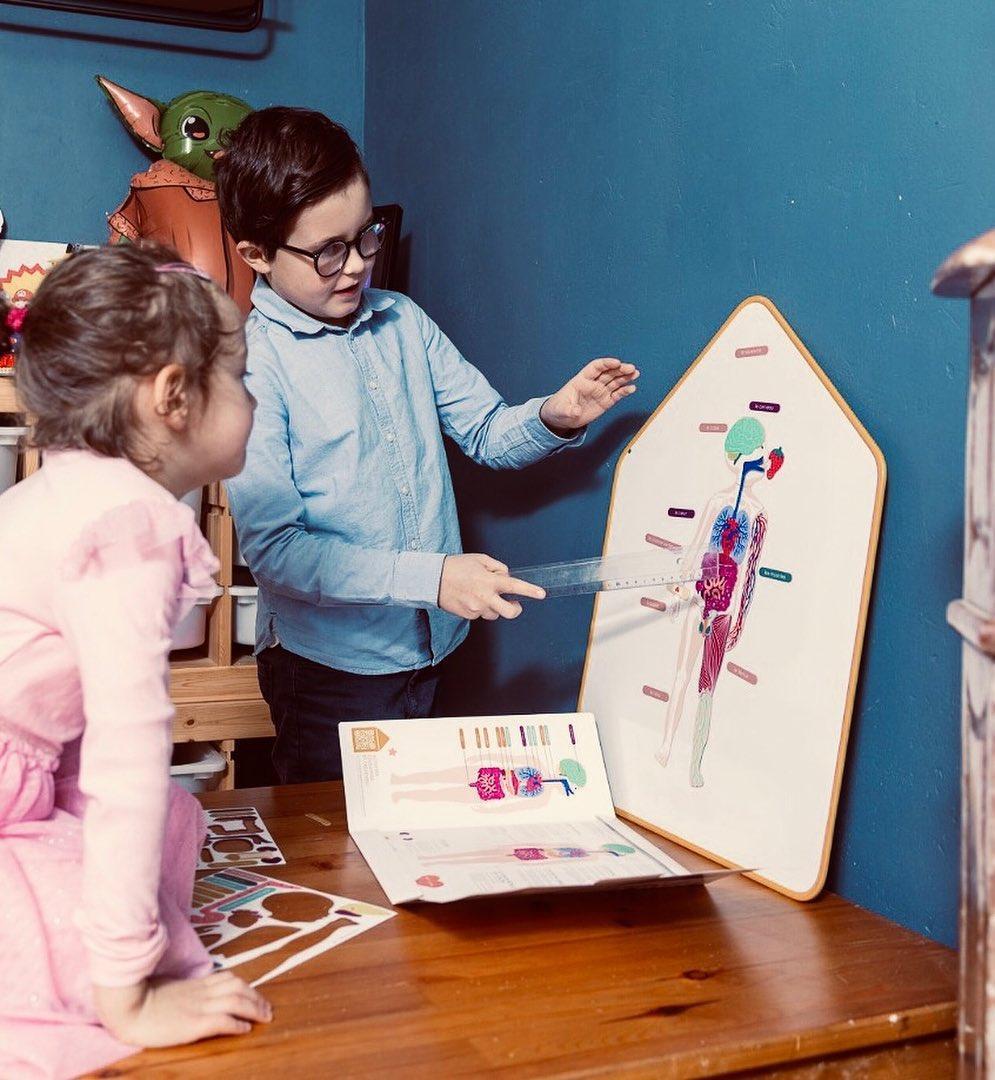 jeu magnétique Anatomie