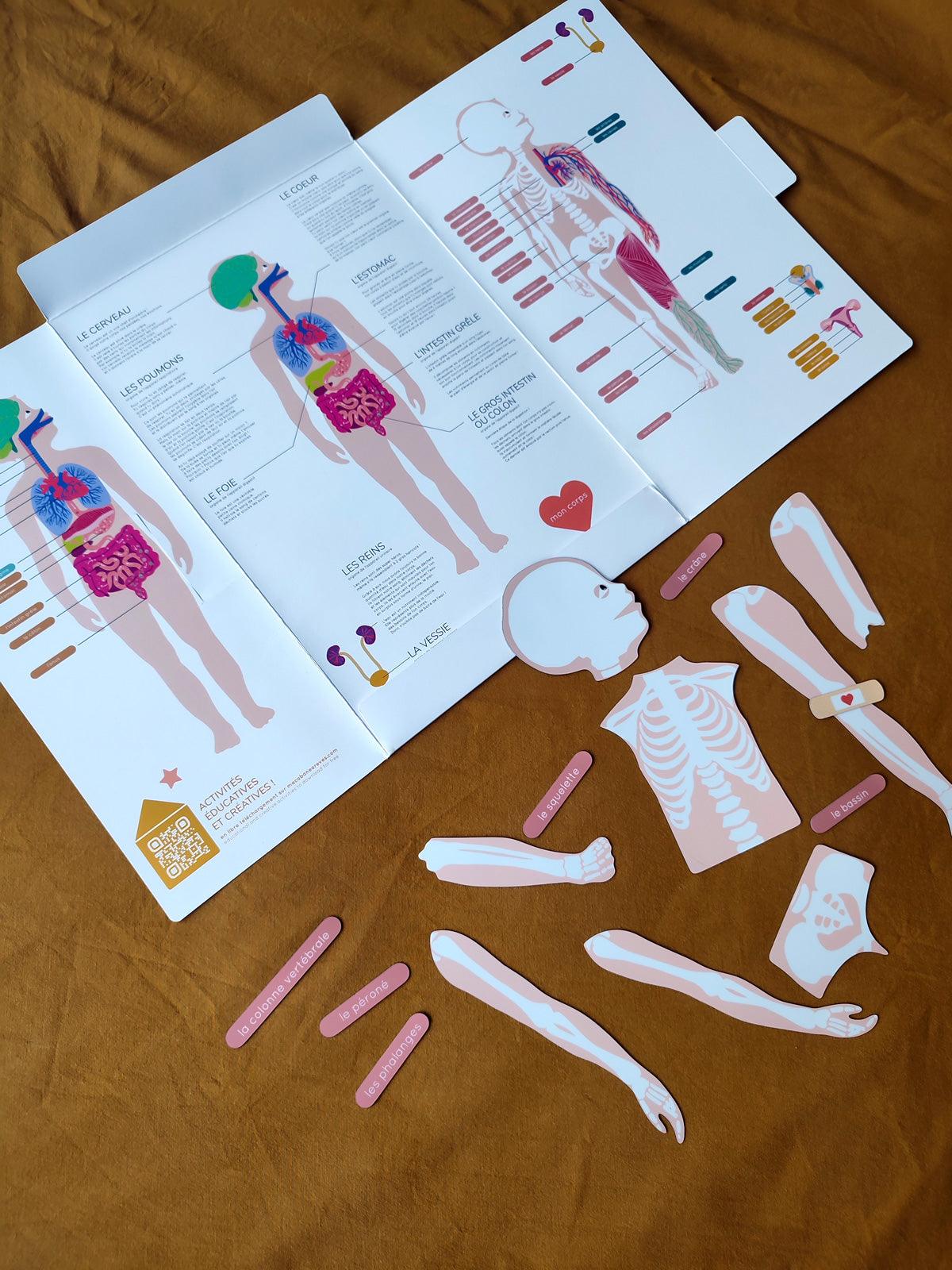 jeu magnétique Anatomie - Ma Cabane à Rêves
