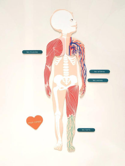 jeu magnétique Anatomie - Ma Cabane à Rêves
