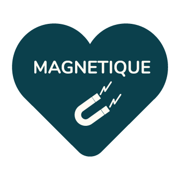 Ma Cabane à rêves - Magnets Anatomie : jeu magnétique éducatif sur le corps  humain