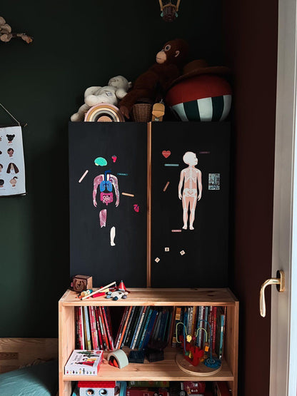 jeu magnétique Anatomie - Ma Cabane à Rêves