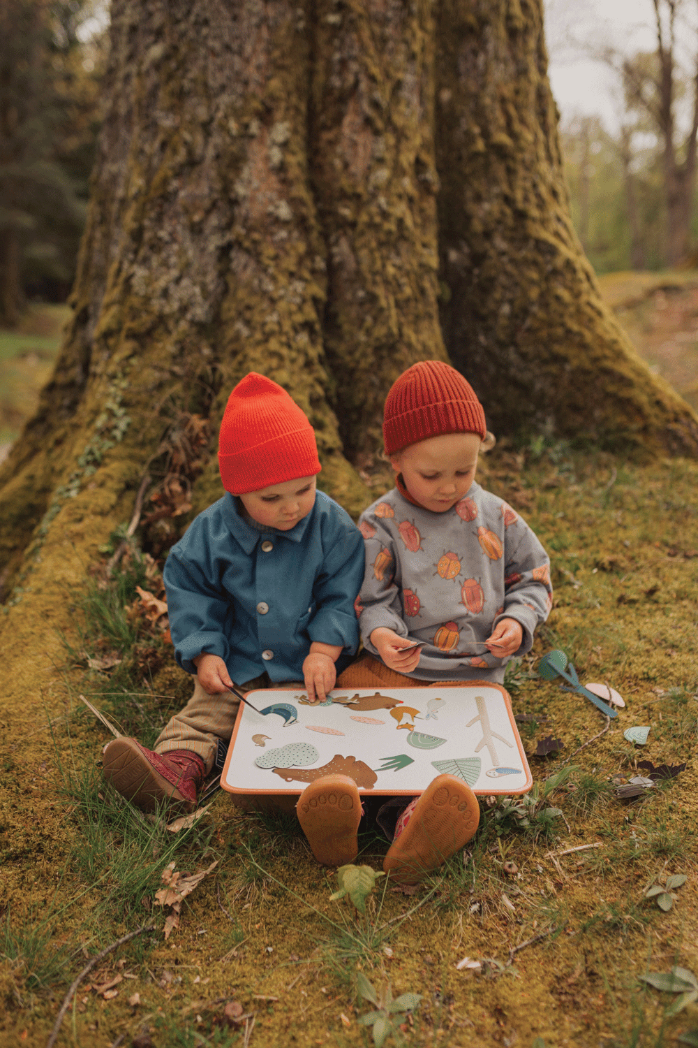 Magnets animaux de la forêt sur tableau bois magnétique fabriqué en France Ma Cabane à Rêves