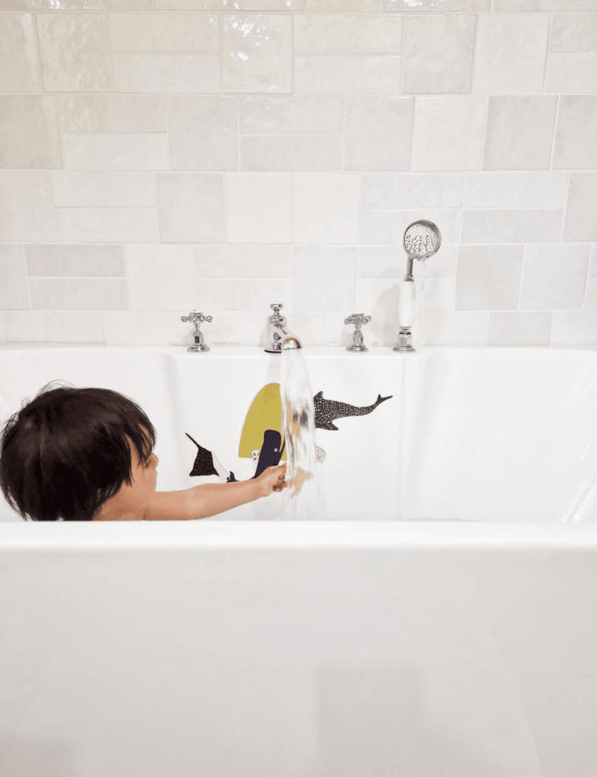 jeu magnetique Océan-aimants- poissons-coraux-jeux pour le bain-baignoire-baleine-meute_sauvage