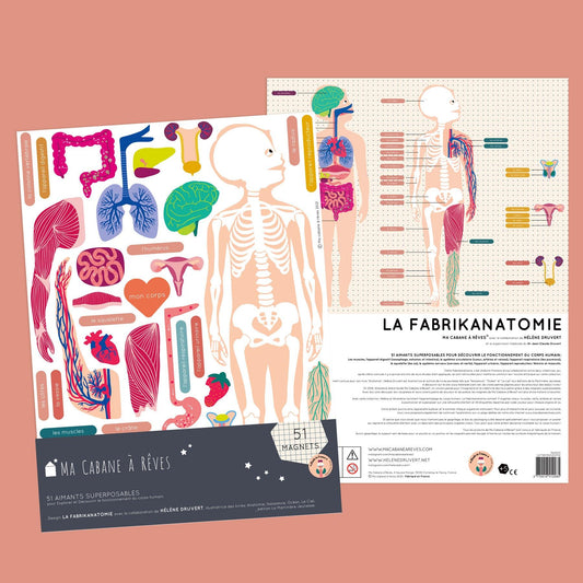 Magnet Anatomie: jeu magnétique éducatif sur le corps humain - Ma Cabane à Rêves