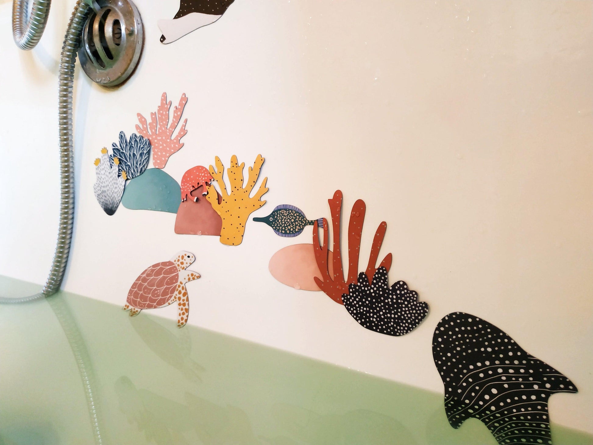 Magnet aimant jeu éducatif magnétique océan mer poisson requin baleine tortue corail bain baignoire résistant à l'eau couleur colori waterproof jouet enfant eau nature